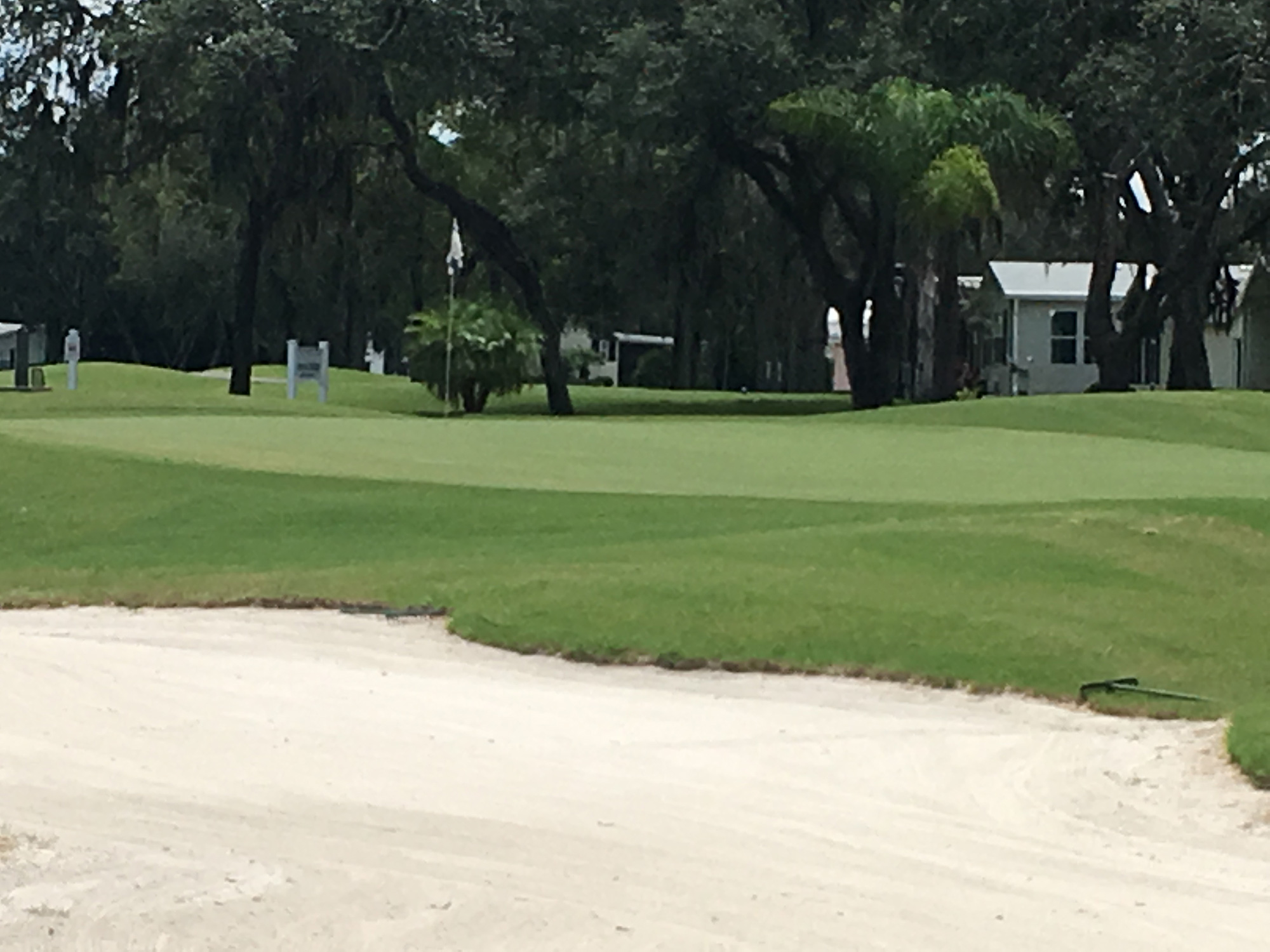 Golf course green with bunker