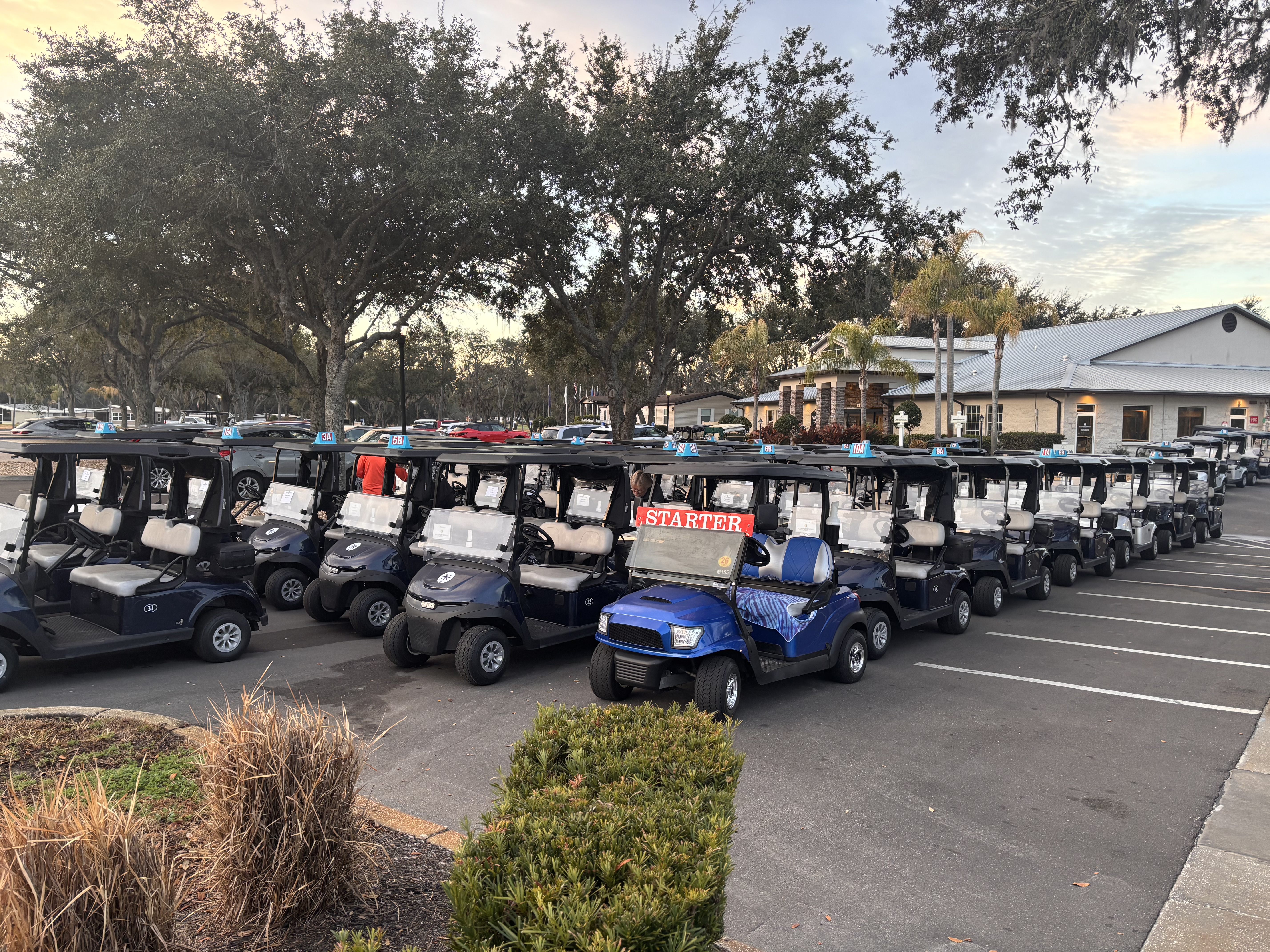 Golf Cars